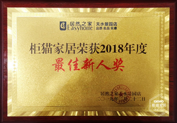 柜猫家居荣获2018年度最佳新人奖