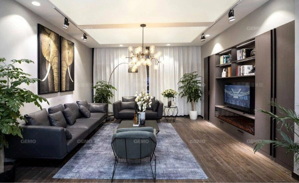 常熟柜猫现代轻奢电视柜