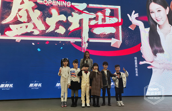 南京柜猫 南京柜猫